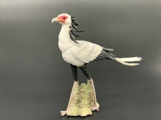 ヘビクイワシ - 掛川花鳥園公式通販サイト FBPshop