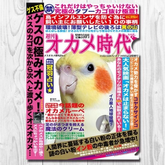 TOMO YAMASHITADESIGN STUDIO.】A4クリアファイルオカメ時代 TOMO YAMASHITADESIGN STUDIO.】A4クリアファイルオカメ時代