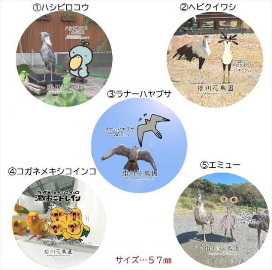 飼育担当バードスタッフデザイン缶バッチ 掛川花鳥園公式通販サイト Fbpshop 飼育担当バードスタッフデザイン缶バッチ 掛川花鳥園公式通販サイト Fbpshop
