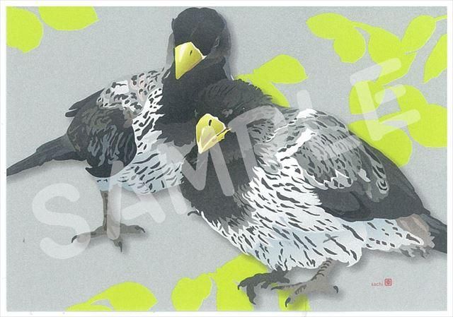 とりアート】デザインメモ帳ハイイロエボシドリ - 掛川花鳥園公式通販