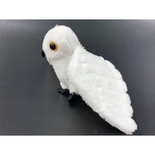 猛禽類 - 掛川花鳥園公式通販サイト FBPshop