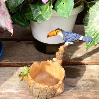 オオハシ - 掛川花鳥園公式通販サイト FBPshop オオハシ - 掛川花鳥園公式通販サイト FBPshop