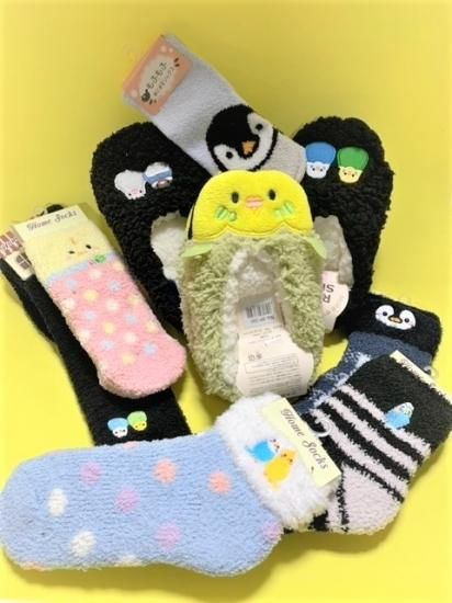 ゆとり屋さんプルパーカー冬支度セット ネイビー 絵の具とセキセイ グリーン 1点ソックスプレゼント 掛川花鳥園公式通販サイト Fbpshop