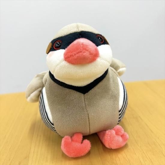 掛川花鳥園オリジナルまんまるイワシャコぬいぐるみ 掛川花鳥園公式通販サイト Fbpshop