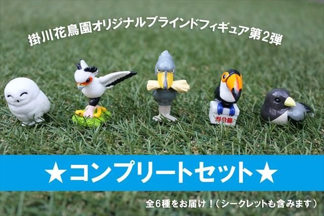 コンプリートセット 掛川花鳥園オリジナルブラインドフィギュア第2弾 掛川花鳥園公式通販サイト Fbpshop コンプリートセット 掛川花鳥園オリジナルブラインドフィギュア第2弾 掛川花鳥園公式通販サイト Fbpshop