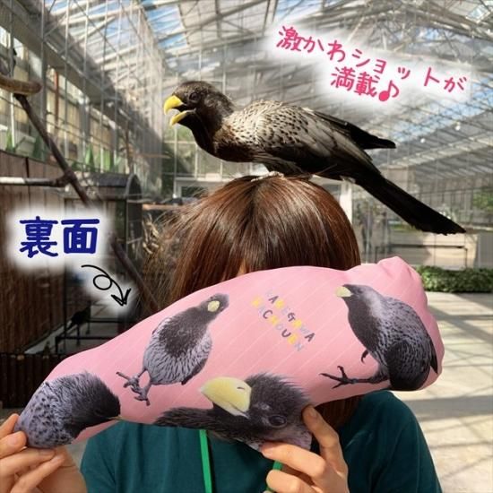 ダイカットクッションハイイロエボシドリ - 掛川花鳥園公式通販 ダイカットクッションハイイロエボシドリ - 掛川花鳥園公式通販