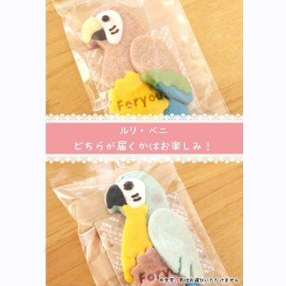 掛川花鳥園×<br>kurimaroクッキー<br>鳥コレクション<br>コンゴウインコ