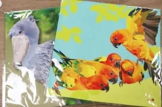 ハシビロコウ - 掛川花鳥園公式通販サイト FBPshop ハシビロコウ - 掛川花鳥園公式通販サイト FBPshop