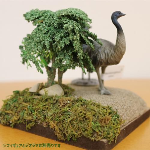 バラ売り可 ミニチュアプラネット 画像全て Miniatureplanet