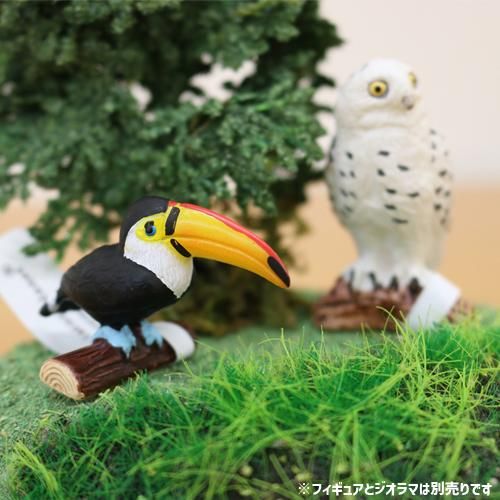 バラ売り可 ミニチュアプラネット 画像全て Miniatureplanet