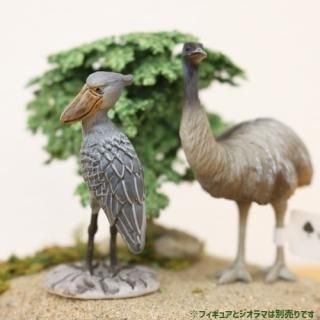 オオハシ - 掛川花鳥園公式通販サイト FBPshop オオハシ - 掛川花鳥園公式通販サイト FBPshop