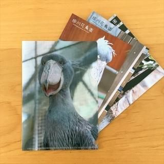 掛川花鳥園　コレクションvol.2 コンプリートセット 2月新商品のご案内 - 掛川花鳥園公式通販サイト FBPshop