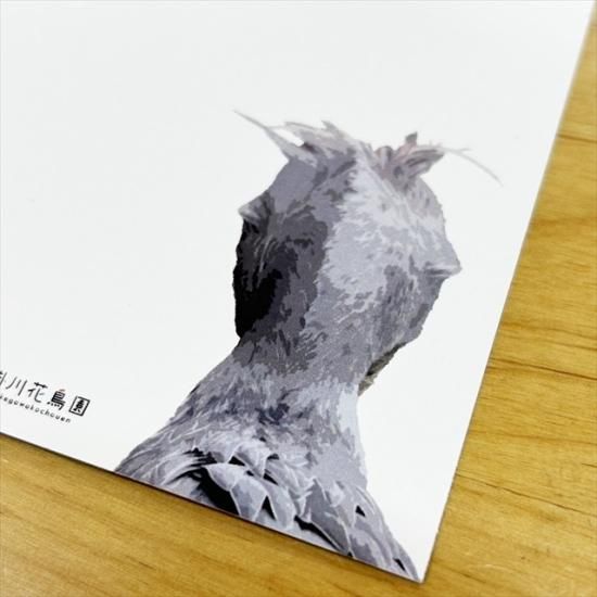 通販限定】第二弾！ふたばのポストカード9枚セット - 掛川花鳥園