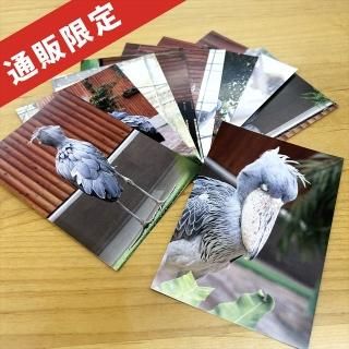 ハシビロコウ お魚とサンゴ 鳥柄 猛禽類 ポーチ ハンドメイド