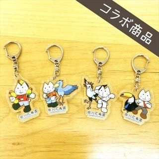 ハシビロコウ - 掛川花鳥園公式通販サイト FBPshop