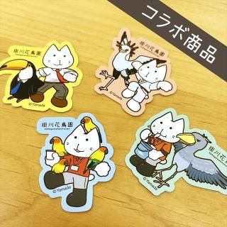 ハシビロコウ - 掛川花鳥園公式通販サイト FBPshop