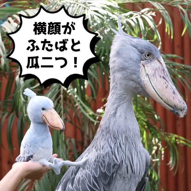 吉徳コラボ第二弾掛川花鳥園オリジナルハシビロコウぬいぐるみ 吉徳コラボ第二弾掛川花鳥園オリジナルハシビロコウぬいぐるみ