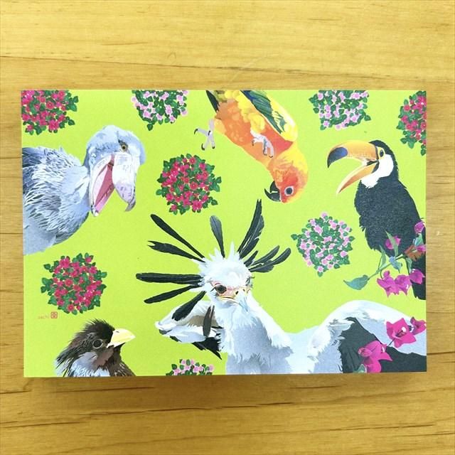 とりアート】デザインメモ帳掛川花鳥園の人気者たち - 掛川花鳥