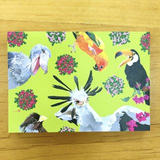 【とりアート】デザインメモ帳<br>掛川花鳥園の人気者たち