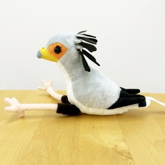 吉徳コラボ第三弾ヘビクイワシぬいぐるみ - 掛川花鳥園公式通販サイト