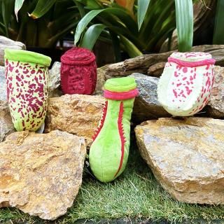 新着商品 - 掛川花鳥園公式通販サイト FBPshop