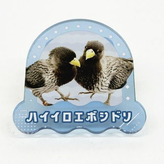 掛川花鳥園の人気者アクリルクリップガチャコンプリートセット