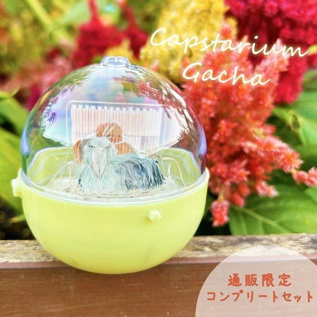 Amazon.co.jp: 掛川花鳥園 ハイイロエボシドリ フィギュア