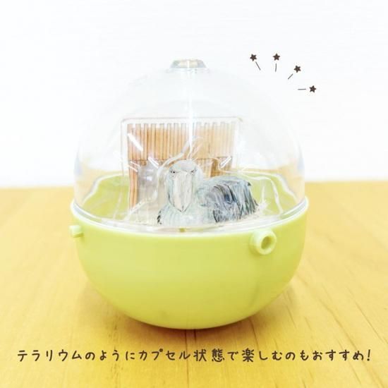 Amazon.co.jp: 掛川花鳥園 ハイイロエボシドリ フィギュア