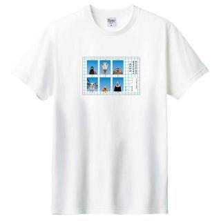 2025ꥸʥT<br>̿(ۥ磻)