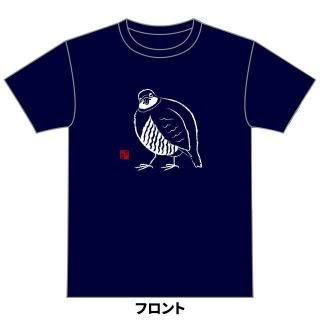 【ゆうゆう⇄らくらくメルカリ便】 ☆ハシビ口コウ☆様ご確認用 新着商品 - 掛川花鳥園公式通販サイト FBPshop