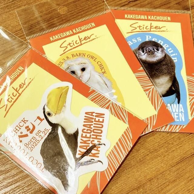 掛川花鳥園オリジナル赤ちゃんステッカー（3種） - 掛川花鳥園公式通販