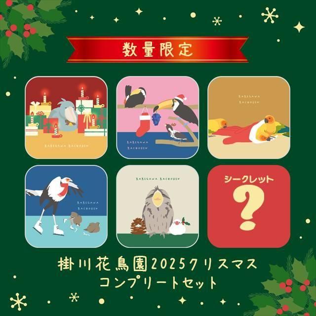 タオルハンカチガチャ掛川花鳥園の2025クリスマスコンプリートセット