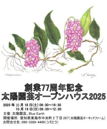 瀬戸内オーキッド