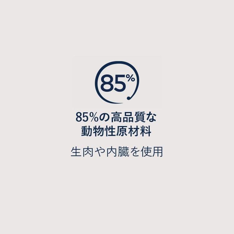 ͥ