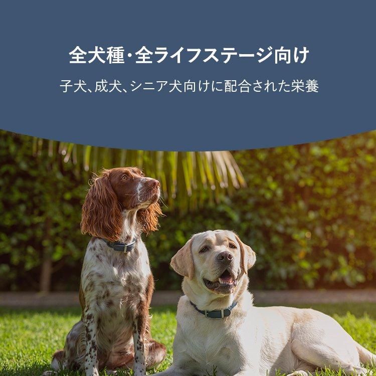 ͥ