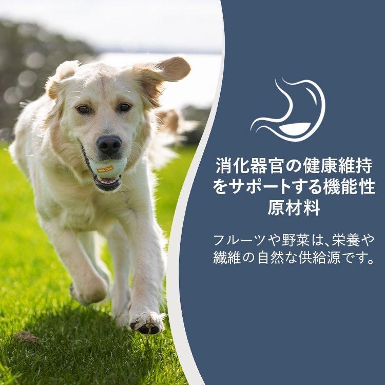 ͥ