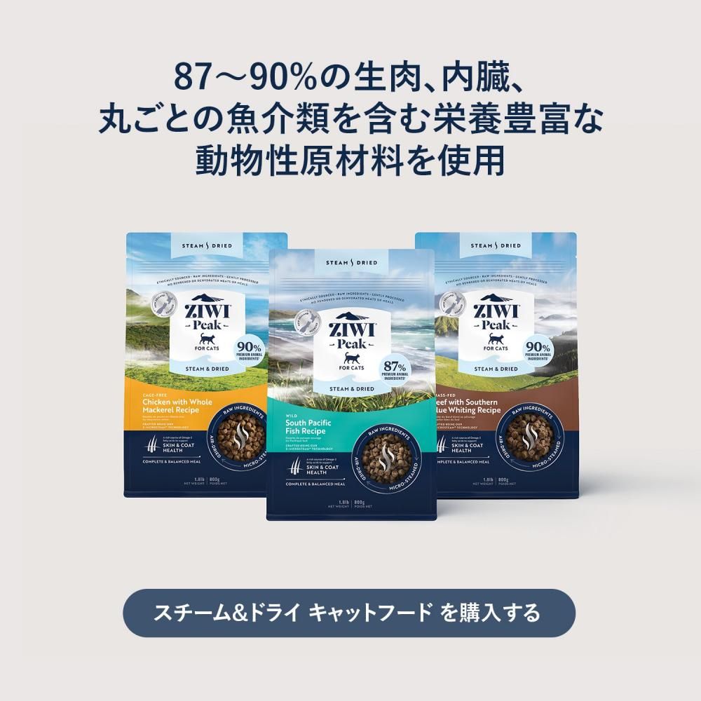 ウェット(オーストラリアにて購入) fg-xb05_01_1200x1200.jpg?v=