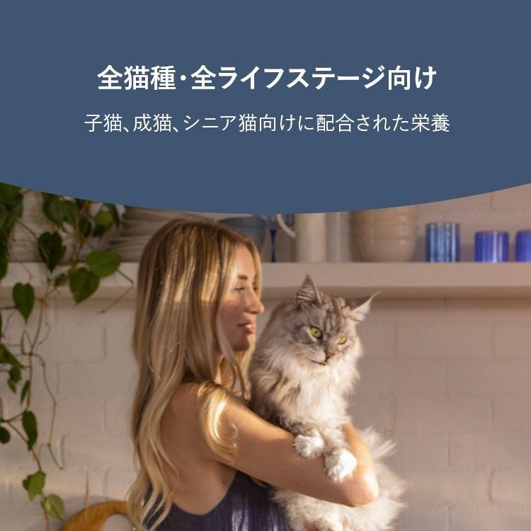ͥ