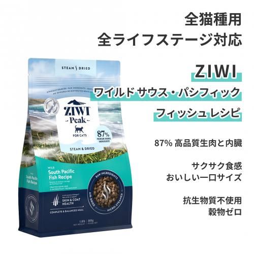 磻 ѥեåեå 쥷