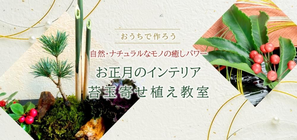 おうちで作ろう「自然・ナチュラルなモノの癒しパワー お正月のインテリア苔玉寄せ植え教室」