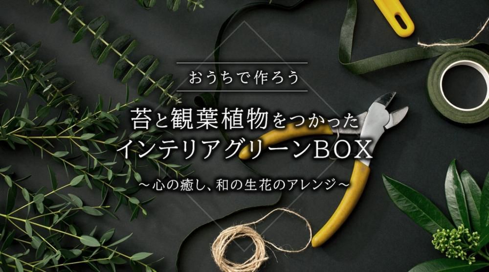 おうちで作ろう 「苔と観葉植物をつかったインテリアグリーン BOX 」