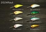 skillful 2024 Raulʥե롡饦
