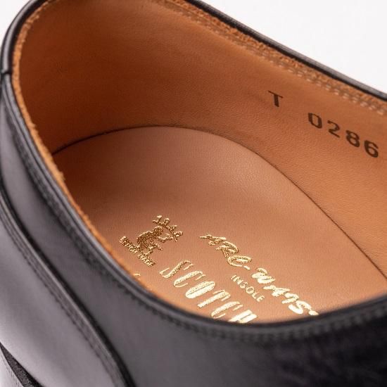スコッチグレイン SCOTCH GRAIN T0286 百貨店モデル 24 5
