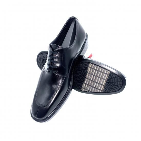 Tropical  3ED 1枚 e BIOTOP | BIOTOP - ビオトープ -