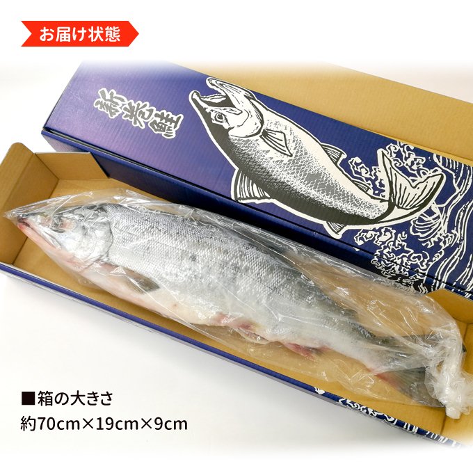 約3.0kg　サーモン専門店　北海道産　本店　新巻鮭一本物　岩松