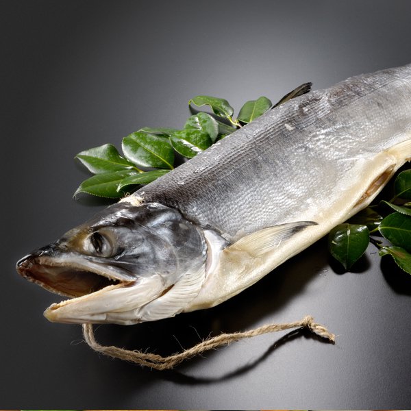 北海道産 新巻鮭 1本 約2㎏、 - 魚介類