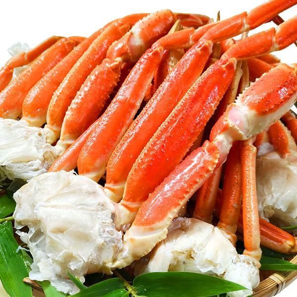 ボイルずわいがに肩足 約1.5kg - サーモン専門店 岩松 本店 ボイルずわいがに肩足 約1.5kg - サーモン専門店 岩松 本店