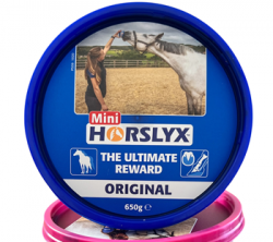 Horslyx mini ꥸʥ