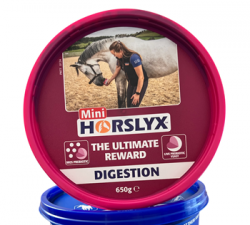 Horslyx mini òݡ