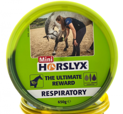 Horslyx mini Ƶ۴掠ݡ